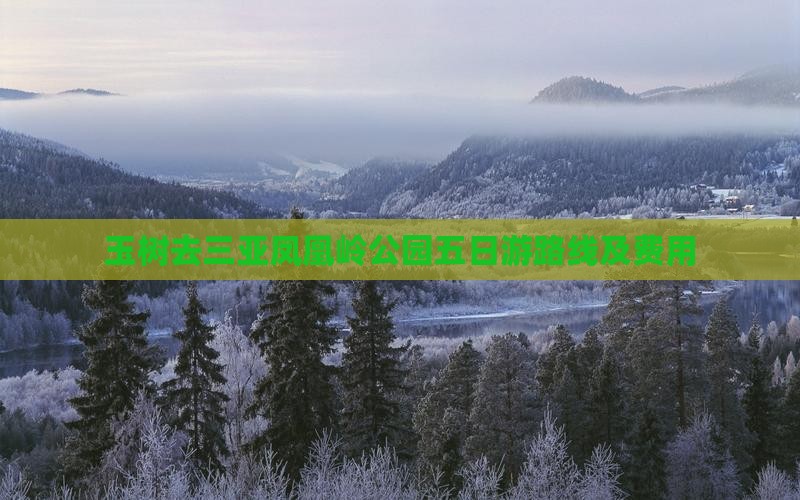 玉树去三亚凤凰岭公园五日游