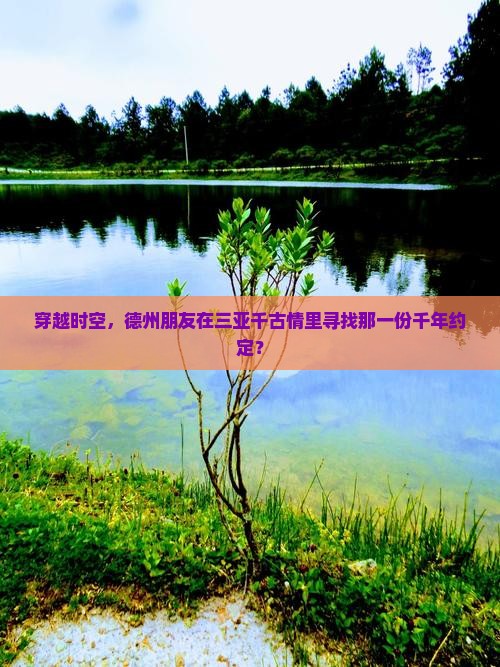 德州前往三亚千古情旅游