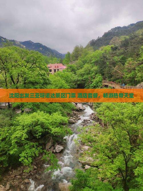沈阳出发三亚呀诺达景区门票