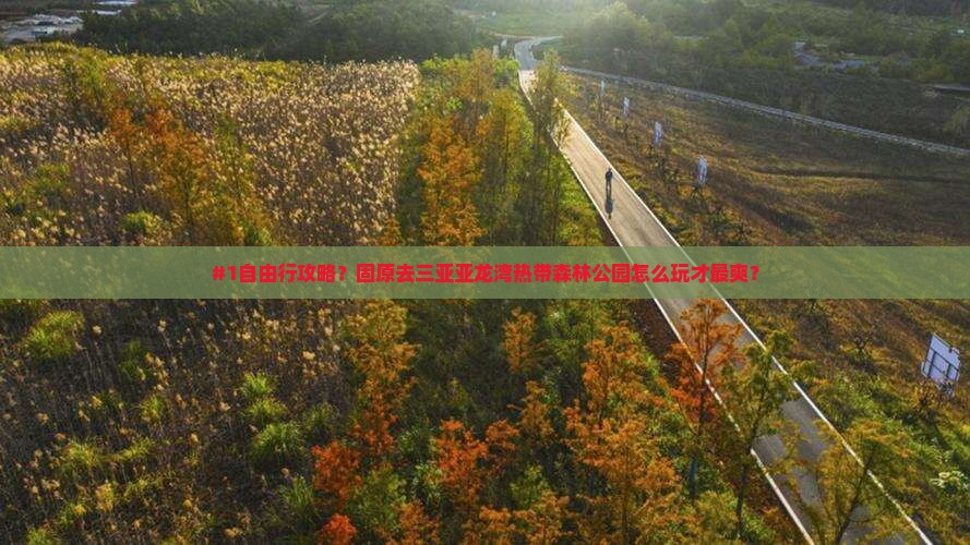 固原前往三亚亚龙湾热带森林公园自由团