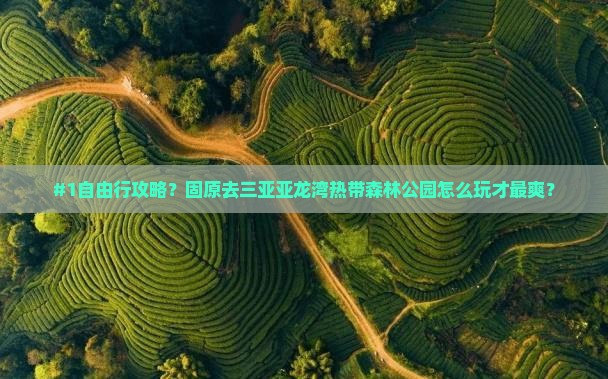 固原前往三亚亚龙湾热带森林公园自由团