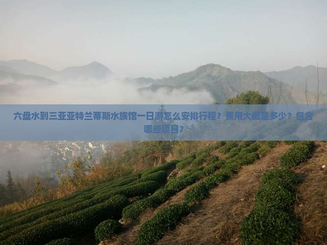 六盘水去三亚亚特兰蒂斯水族馆一日游