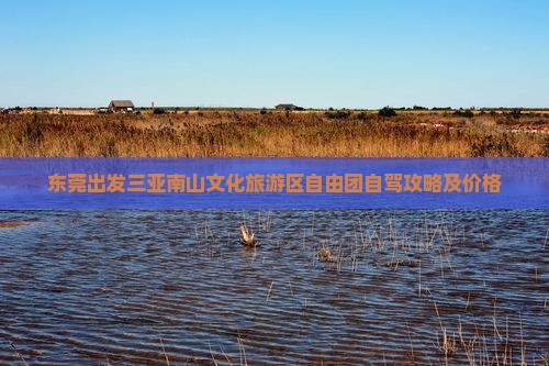 东莞出发三亚南山文化旅游区自由团