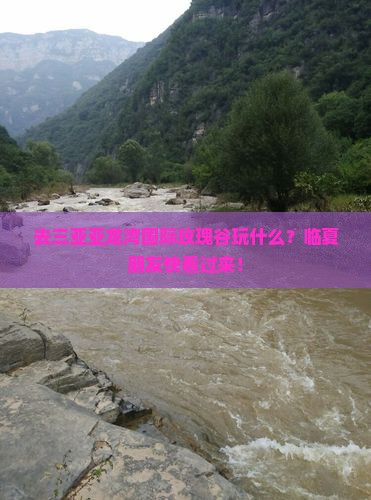 临夏去三亚亚龙湾国际玫瑰谷必玩地