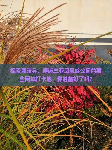 鄢陵县出发三亚凤凰岭公园旅游网红地点