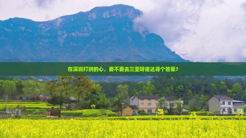 深圳前往三亚呀诺达景区旅游网红地点