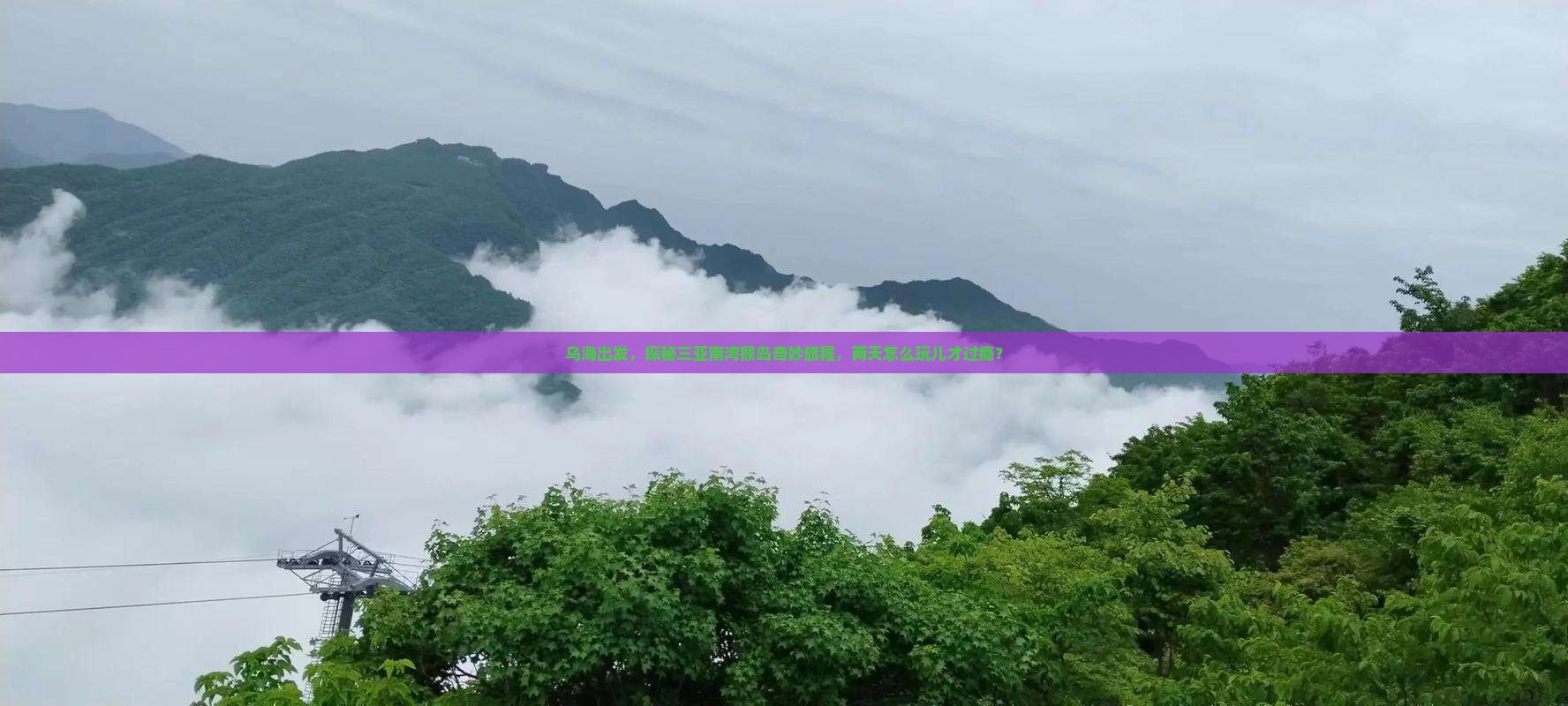 乌海前往三亚南湾猴岛二日游