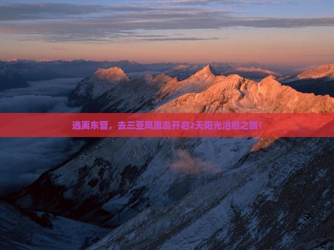 东营前往三亚凤凰岛二日游