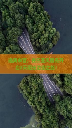 东营前往三亚凤凰岛二日游