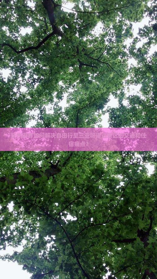 抚州去三亚呀诺达景区自由行