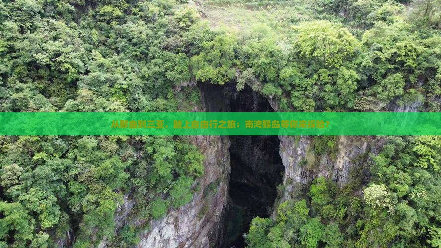 那曲去三亚南湾猴岛自由团