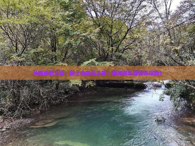 那曲去三亚南湾猴岛自由团