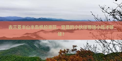 宜昌前往三亚半山半岛帆船港旅游小吃