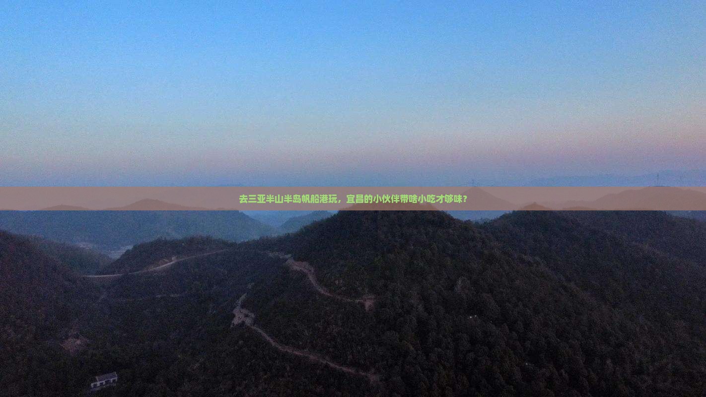 宜昌前往三亚半山半岛帆船港旅游小吃