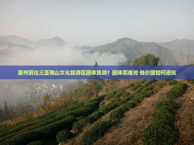 惠州前往三亚南山文化旅游区团体旅游