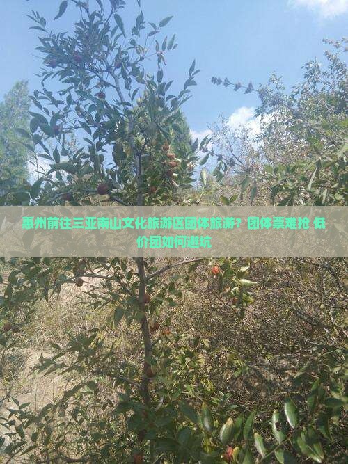 惠州前往三亚南山文化旅游区团体旅游