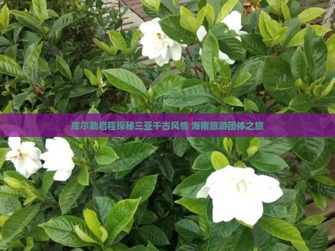 库尔勒去三亚千古情团体旅游