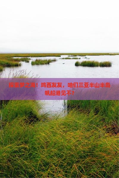 鸡西去三亚半山半岛帆船港旅行社