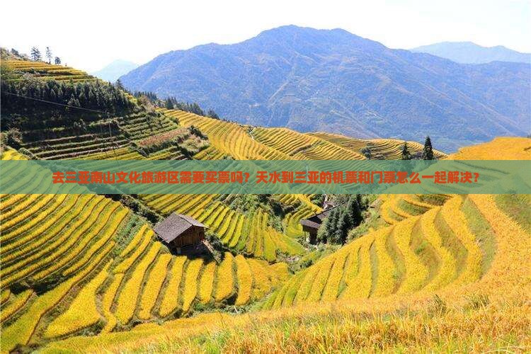 天水去三亚南山文化旅游区门票