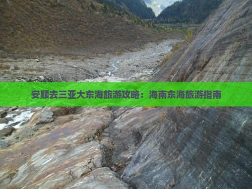 安顺去三亚大东海旅游