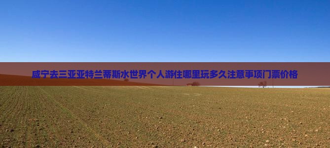 咸宁去三亚亚特兰蒂斯水世界个人游