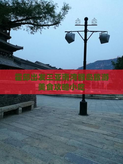 霍邱出发三亚南湾猴岛旅游小吃