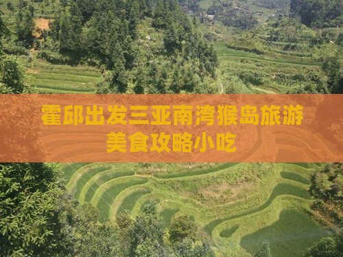 霍邱出发三亚南湾猴岛旅游小吃