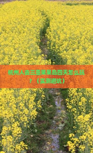 杭州去三亚呆呆岛四日游