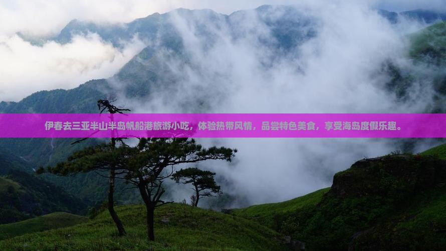 伊春去三亚半山半岛帆船港旅游小吃