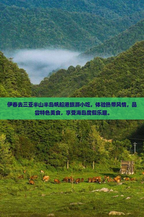 伊春去三亚半山半岛帆船港旅游小吃