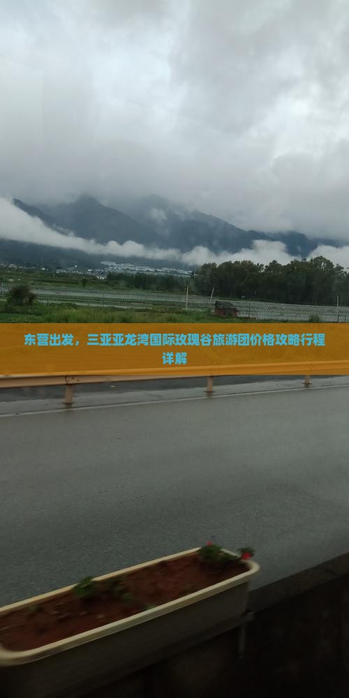 东营去三亚亚龙湾国际玫瑰谷大型旅游团