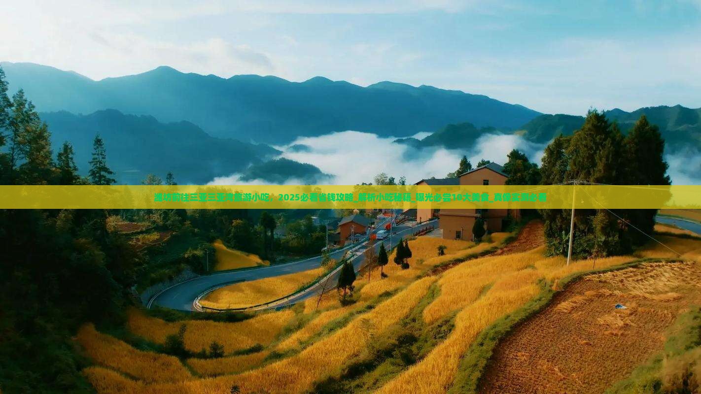 潍坊前往三亚三亚湾旅游小吃