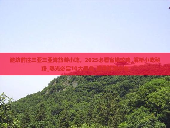 潍坊前往三亚三亚湾旅游小吃
