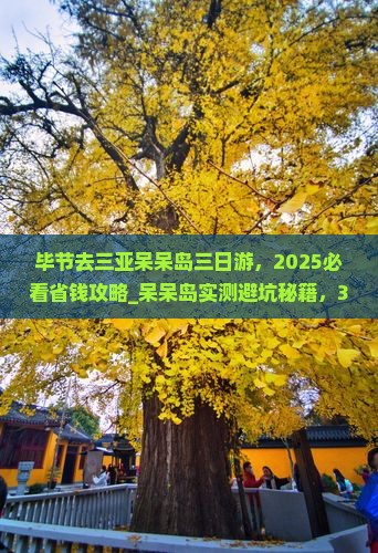 毕节去三亚呆呆岛三日游