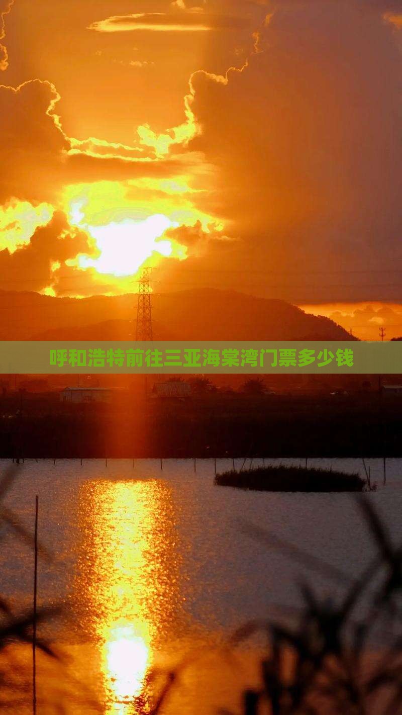 呼和浩特前往三亚海棠湾门票 呼和浩特前往三亚海棠湾门票