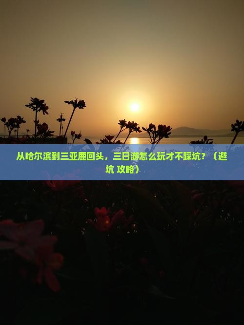 哈尔滨去三亚鹿回头三日游