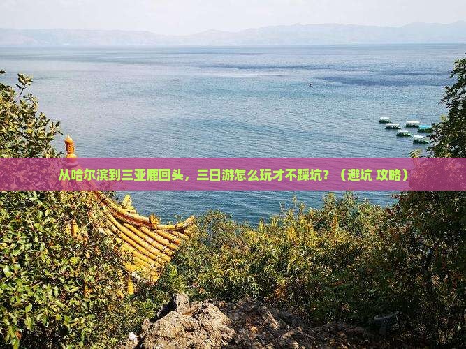 哈尔滨去三亚鹿回头三日游