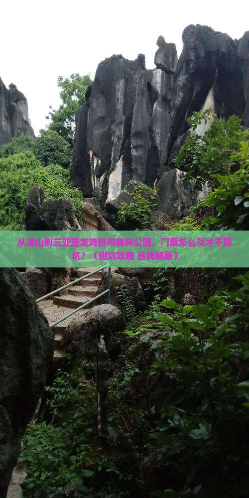 凉山去三亚亚龙湾热带森林公园门票