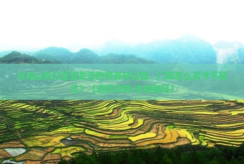 凉山去三亚亚龙湾热带森林公园门票