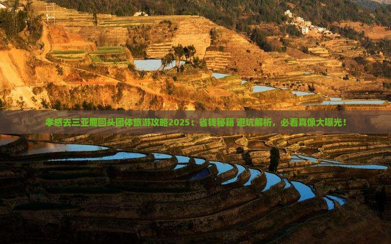 孝感去三亚鹿回头团体旅游