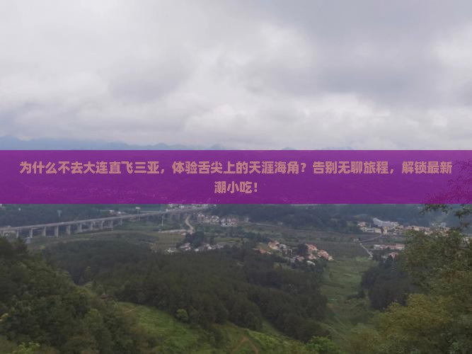 大连前往三亚天涯海角旅游小吃