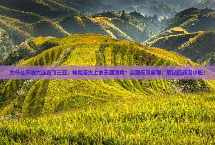 大连前往三亚天涯海角旅游小吃