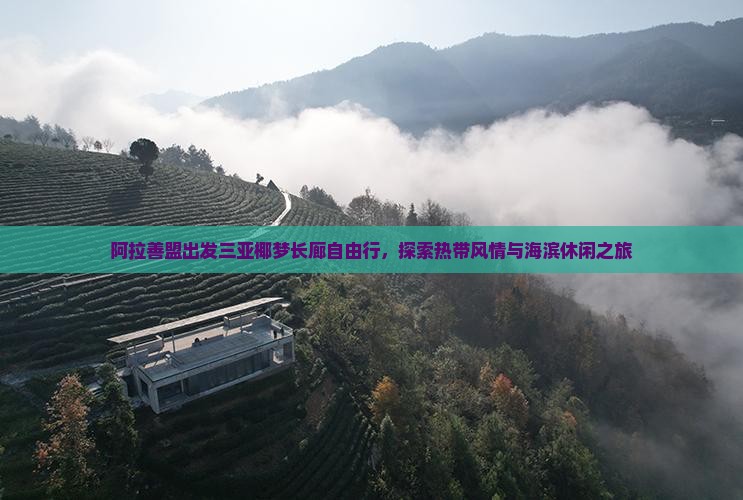 阿拉善盟出发三亚椰梦长廊自由行