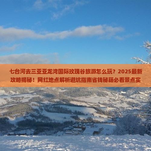 七台河去三亚亚龙湾国际玫瑰谷旅游网红地点