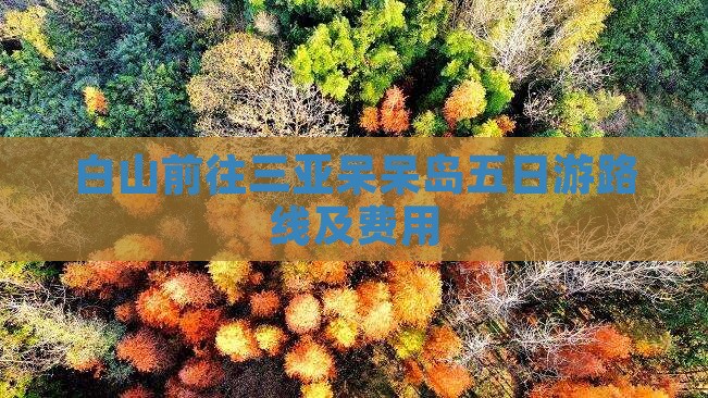 白山前往三亚呆呆岛五日游