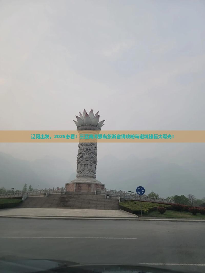 辽阳去三亚南湾猴岛旅游