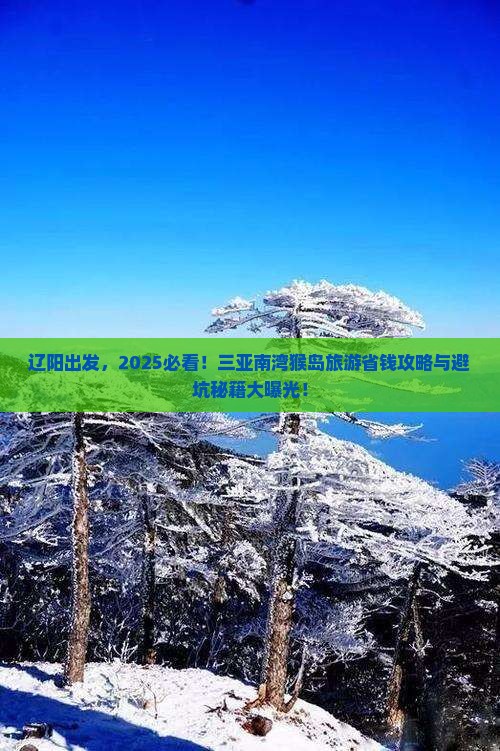 辽阳去三亚南湾猴岛旅游