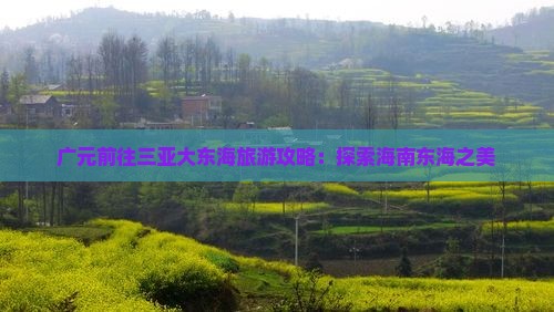 广元前往三亚大东海旅游打卡点