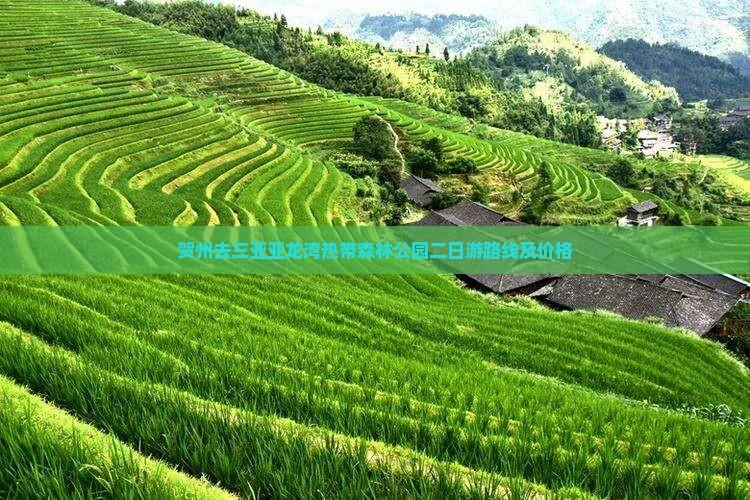 贺州去三亚亚龙湾热带森林公园二日游