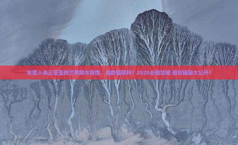 东营去三亚亚特兰蒂斯水族馆攻略